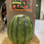 メロンパン保育園の大きなすいか
